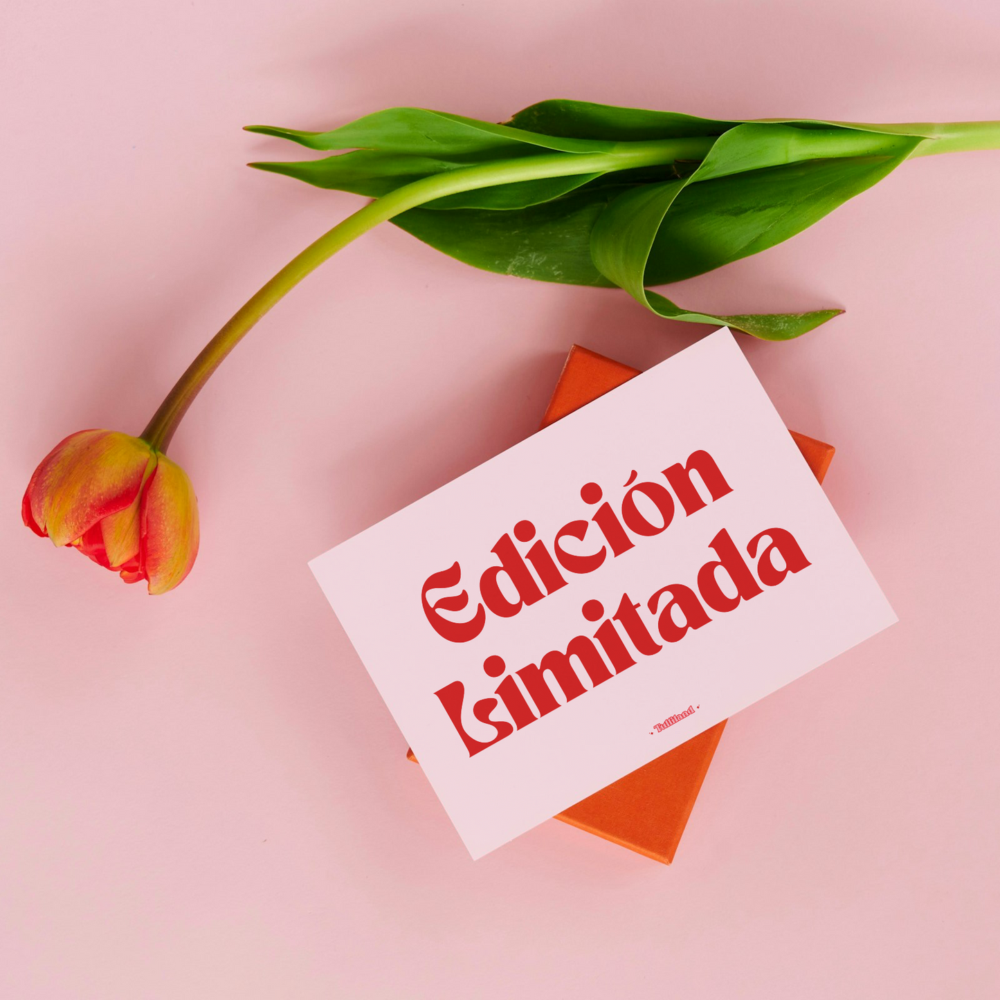 Edición Limitada