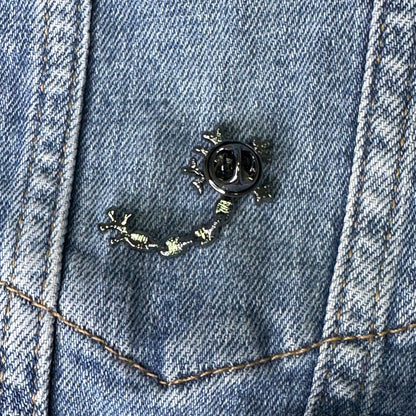 Pins de Neuronas