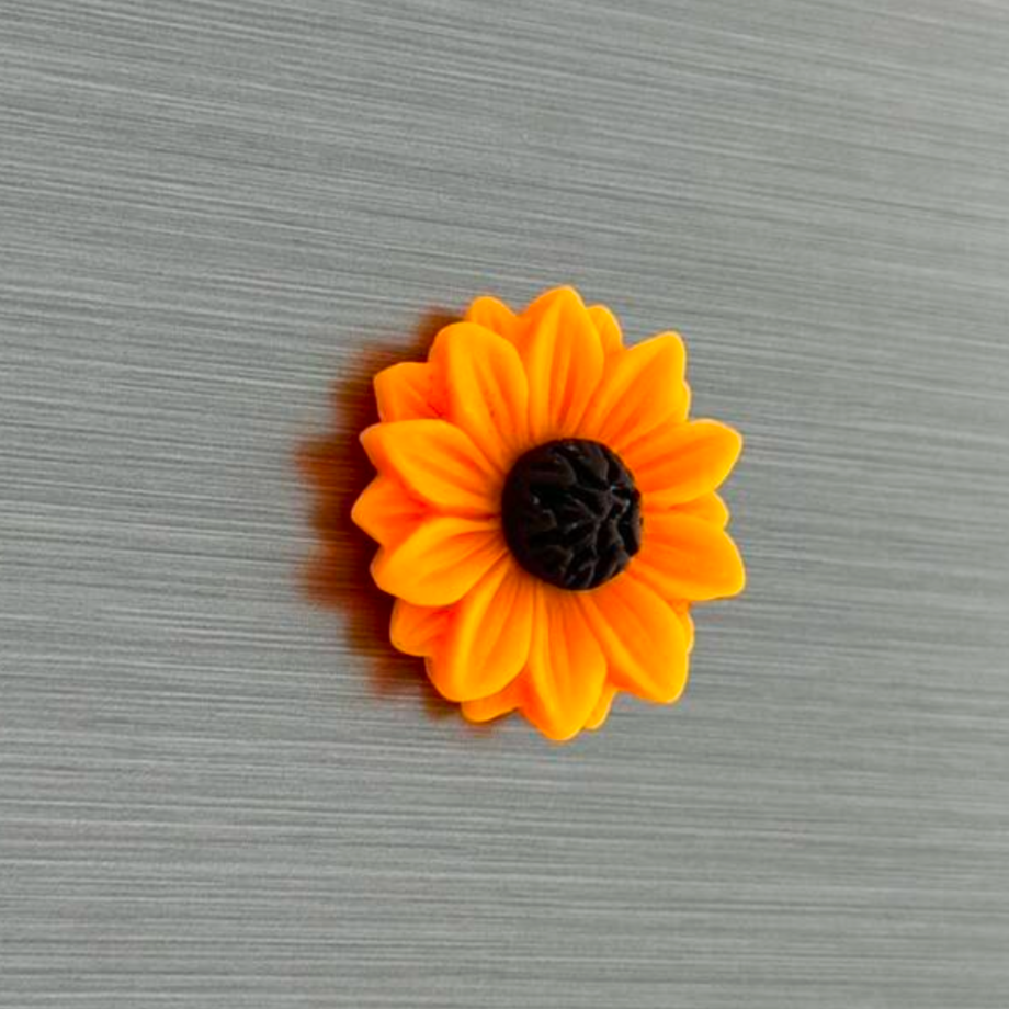Imanes de Girasol